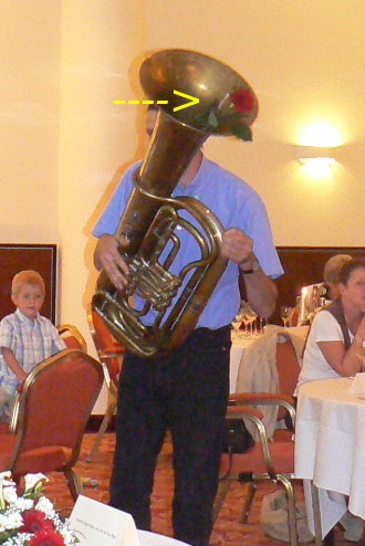 Tuba und Rose
